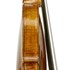 ViolinoScuolaAmati b.jpg