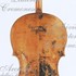 VioloncelloNMM3351 c.jpg