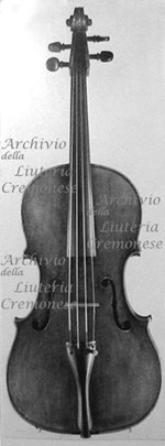 1560cViola a.jpg