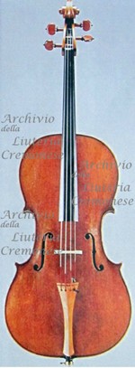 1573cVioloncello a.jpg