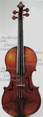 1574cViolino a.jpg