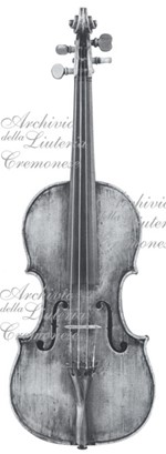 1600ViolinoMosca a.jpg