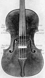 1612Viola a.jpg