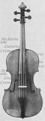 1619ViolaMedici a.jpg