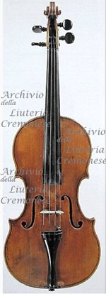 1620cViolino2 a.jpg