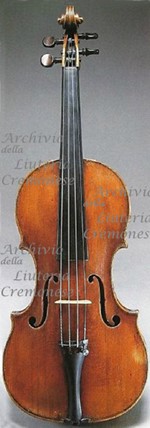 1625cViolino2 a.jpg