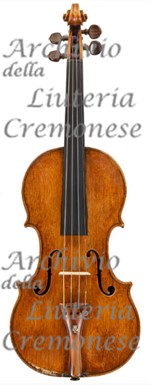 1625cViolino a.jpg