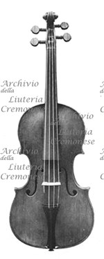 1625Violino a.jpg