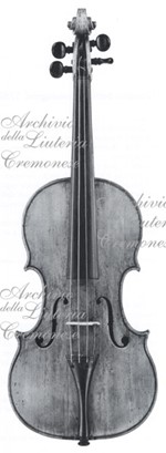 1629ViolinoMosca a.jpg