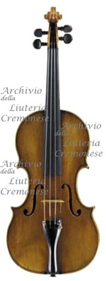 1630cViolino2 a.jpg