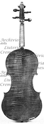 1642Violino c.jpg