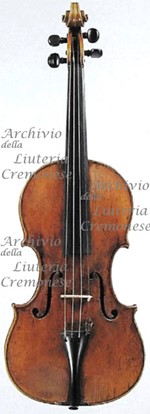 1645cViolino a.jpg