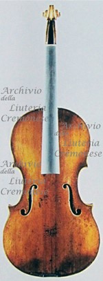 1646Viola a.jpg