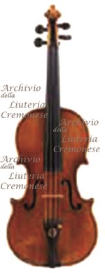 1654ViolinoB&F a.jpg