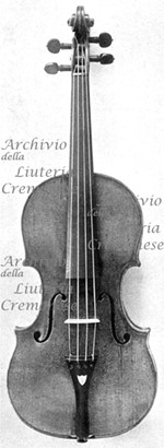 165xViolino a.jpg