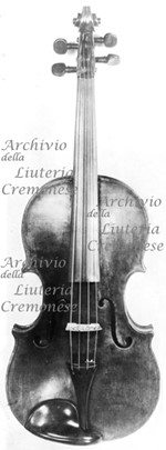 1663cViolino a.jpg