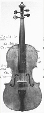 1666ViolinoAntoinette a.jpg