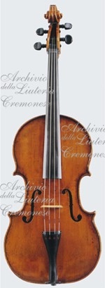 1676Viola a.jpg