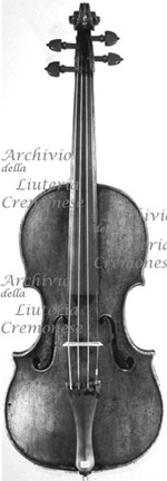 1679cViolino a.jpg