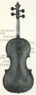 1679Violino c.jpg