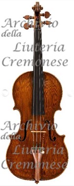 1680cViolino10 a.jpg