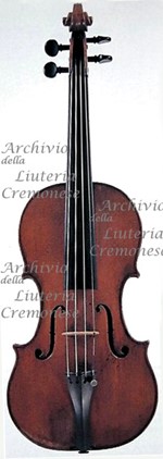 1680cViolino2 a.jpg