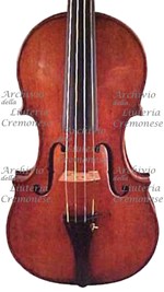 1680cViolino4 a.jpg