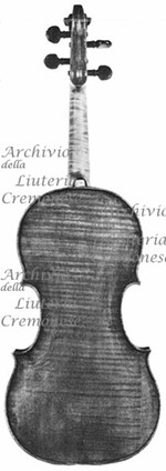 1680cViolino6 c.jpg