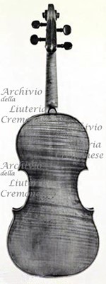 1680cViolino c.jpg