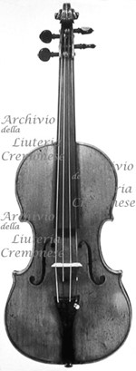 1685ViolinoRosgonyl a.jpg