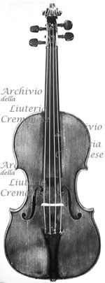 1686ViolinoClark a.jpg