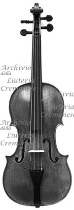 1689cViolino a.jpg