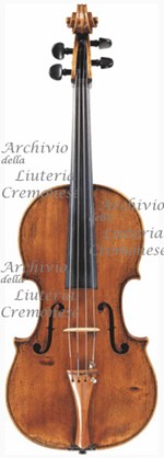 1690cViola2 a.jpg