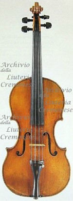 1690cViolino2 a.jpg