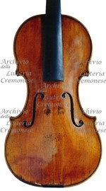 1690cViolino3 a.jpg