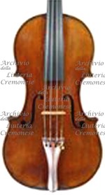 1690cViolino a.jpg