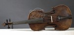 1690Viola a.jpg