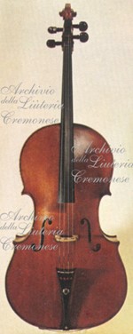 1690VioloncelloMediceo a.jpg