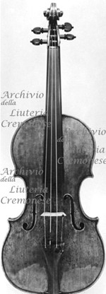 1693cViolino a.jpg