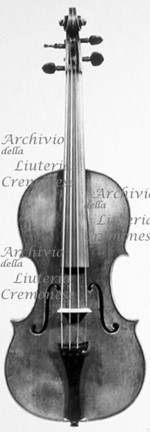 1694ViolinoBeare a.jpg