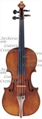 1695cViolino a.jpg