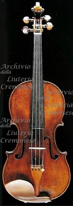 1695cViolino a.jpg