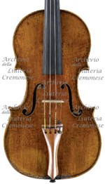 1695cViolino a.jpg