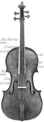 1695ViolaAxelrod a.jpg