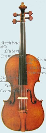 1697cViolino a.jpg