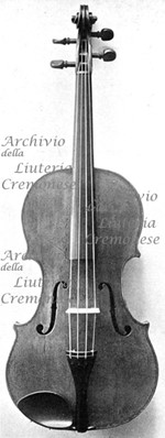 1697Viola a.jpg