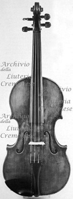 1700cViolino3 a.jpg