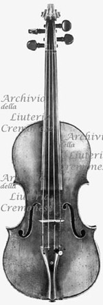 1700cViolino4 a.jpg