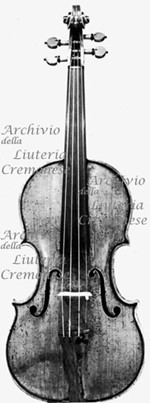 1703cViolino a.jpg