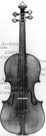 1703cViolino a.jpg